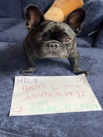 Poster for Anniversary video from Oatie Meal