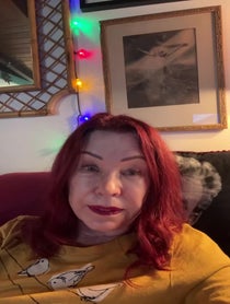 Poster for Other video from Pamela Des Barres