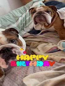 Poster for Birthday video from Bentley & Finn