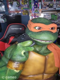 Poster for Intro video video from Real Life Mikey