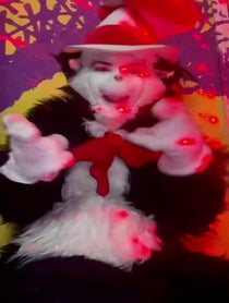 Poster for Roast video from CAT 😻