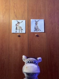 Poster for Birthday video from Donke
