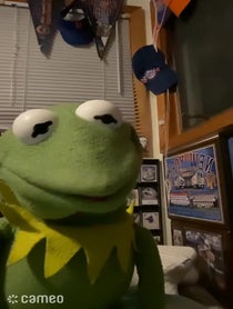 Poster for Intro video video from KermitSings