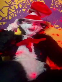 Poster for Other video from CAT 😻