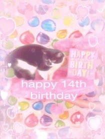 Poster for Birthday video from ivy