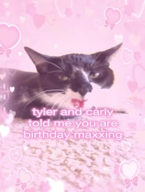 Poster for Birthday video from ivy