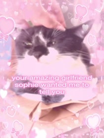 Poster for Other video from ivy