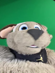 Poster for Birthday video from Moondog Cavs Mascot Puppet