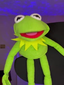 Poster for Birthday video from Kermit Impressionist