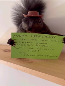 Poster for Birthday video from Peanut the Squirrel