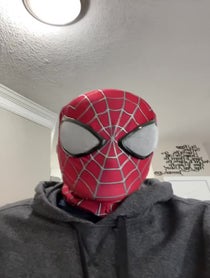 Poster for Other video from Spider-Man