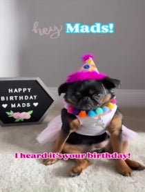Poster for Birthday video from Simone the Griff