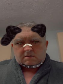 Poster for Other video from Your pookie Mike the cat
