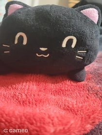 Poster for Intro video video from V.K. Neko