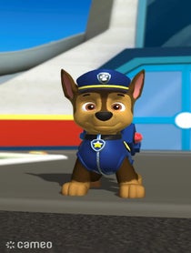 Poster for Intro video video from Chase