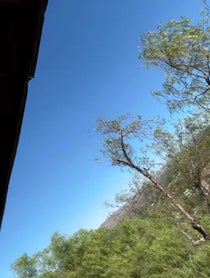 Poster for Holiday video from 7 Hells Krampus