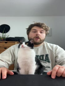 Poster for Roast video from Arthur J