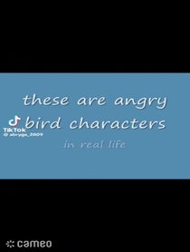 Poster for Intro video video from grumpytiger723