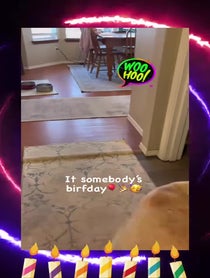 Poster for Birthday video from Joy of Willow and Nala