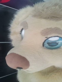 Poster for Birthday video from Rex the Furry Dog