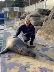 Poster for Give Thanks video from The Cornish Seal Sanctuary