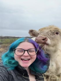 Poster for Other video from Farmer Lacie