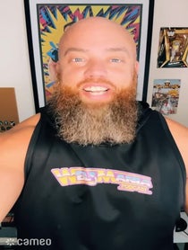 Poster for Intro video video from WellsMania