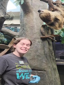 Poster for Other video from Curly the Sloth at Houston Zoo