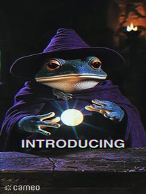 Poster for Intro video video from The_Frog_Mage