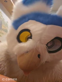 Poster for Intro video video from Primroseowlfox