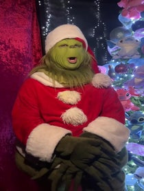 Poster for Other video from The Grinch