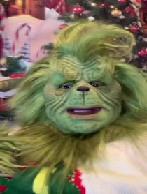 Poster for Other video from The grinch