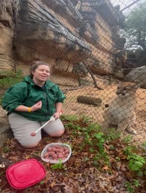 Poster for Birthday video from Cougar at Houston Zoo