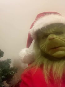 Poster for Question video from The Grinch