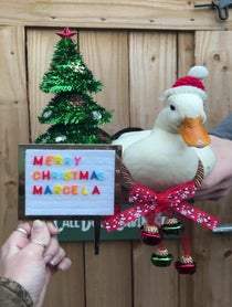 Poster for Other video from Cheese and Quackers Ducks