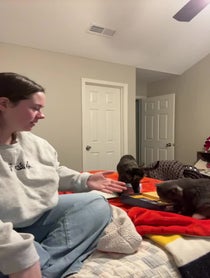 Poster for Other video from Pot Roasts Mom