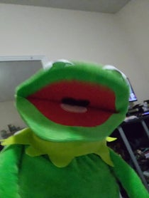 Poster for Other video from Kermit