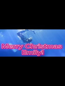 Poster for Holiday video from Mermaid Isla View🤟🏻❤️