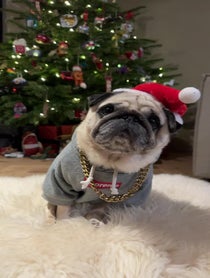 Poster for Holiday video from Puggy Smalls