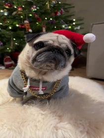 Poster for Holiday video from Puggy Smalls