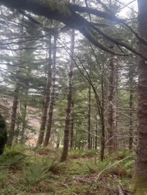 Poster for Holiday video from Biko Wright