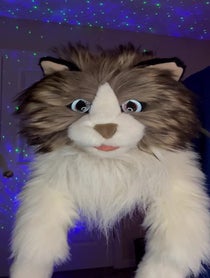 Poster for Holiday video from The Talking Cat Puppet
