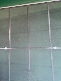 Poster for Holiday video from Shannon Shaw