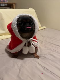 Poster for Holiday video from Edna the Runt