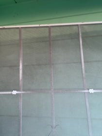 Poster for Birthday video from Shannon Shaw