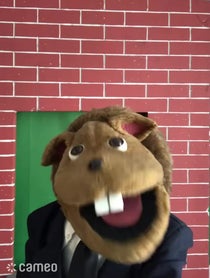 Poster for Intro video video from NB Puppets