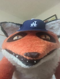 Poster for Other video from Foxi the Fox Puppet
