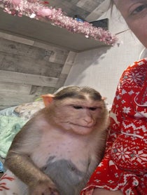 Poster for Birthday video from MonkeyPaisley
