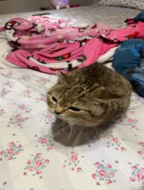 Poster for Valentine's Day video from Melody & Jiggy