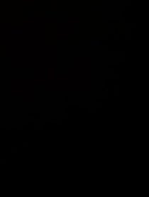 Poster for Intro video video from Anon